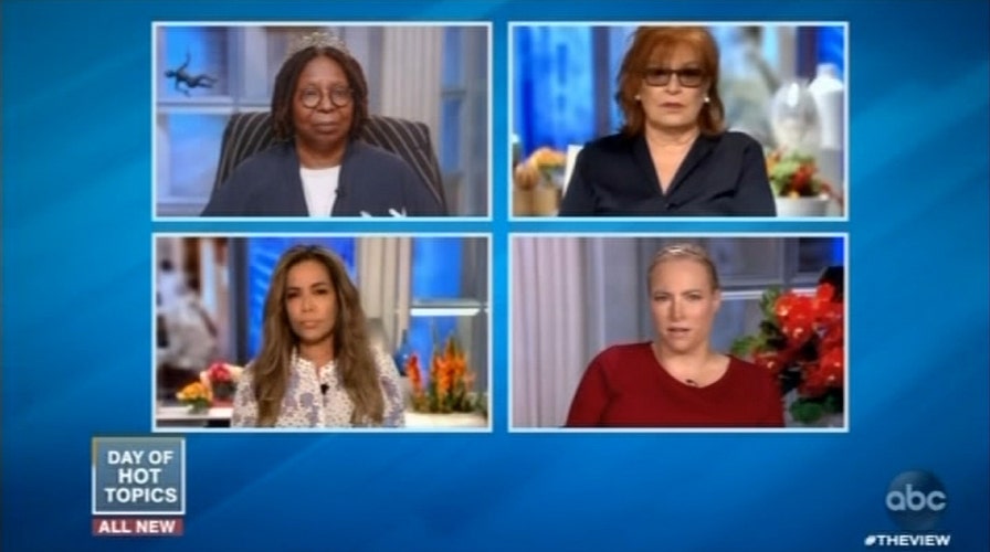 Meghan McCain scolds Joy Behar for claiming Republicans don't care about education: 'Aggressive and incendiary'