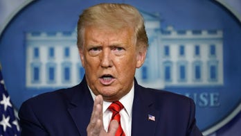 Trump appears to back claim suspected teen gunman acted in self-defense, rips 'left-wing political violence'