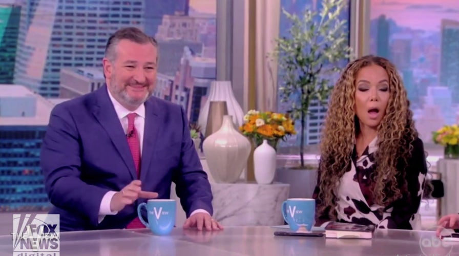 Ted Cruz's 'The View' appeareance derailed by protesters screaming about climate, yelling obscenities