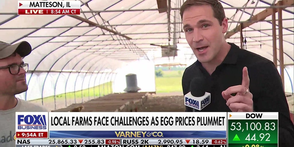 Egg prices CRASH! Farmers STILL losing money