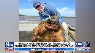 Fisherman catches alligator snapping turtle and an alligator gar in Texas - Fox News