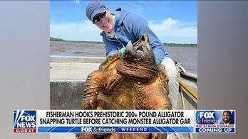 Fisherman catches alligator snapping turtle and an alligator gar in Texas