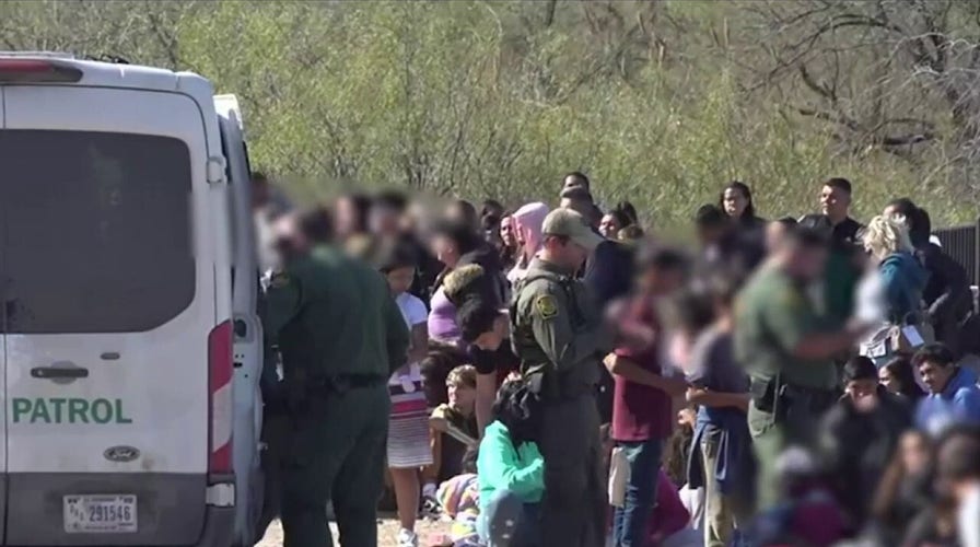 'DEFIES LOGIC': Border Patrol official responds to government refusing to step in on border crisis