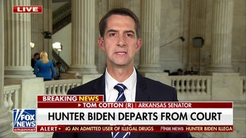 Sen. Tom Cotton: Hunter Biden's plea fell apart