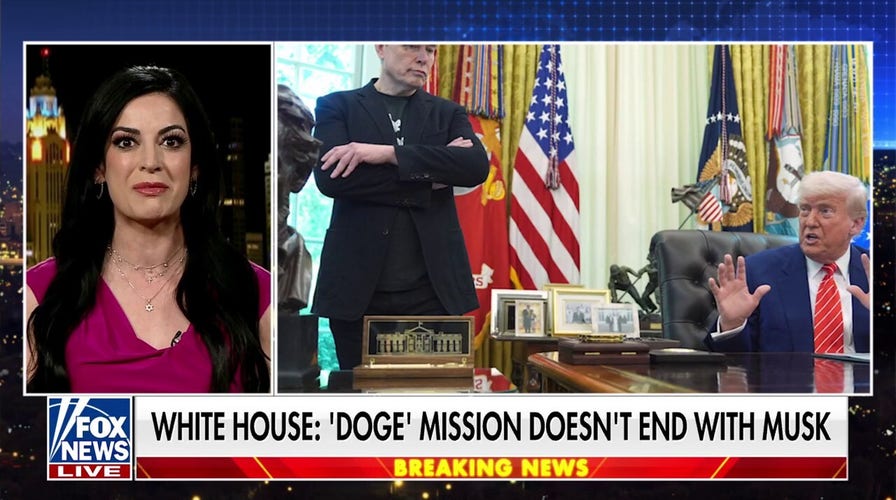 Elon Musk had to 'outmaneuver the entrenched Democrats' in DC: Attorney