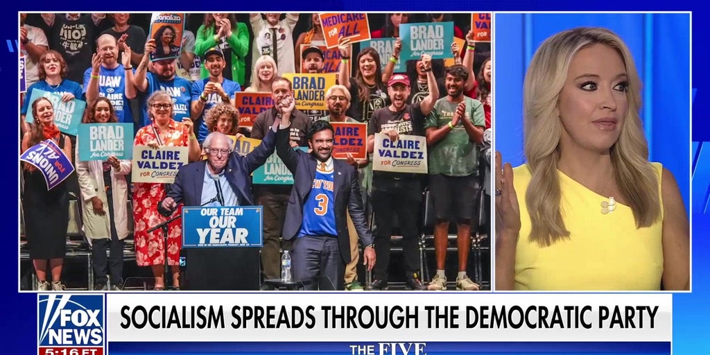 Democratic Socialists of America are ‘organized and planning’: Kayleigh McEnany