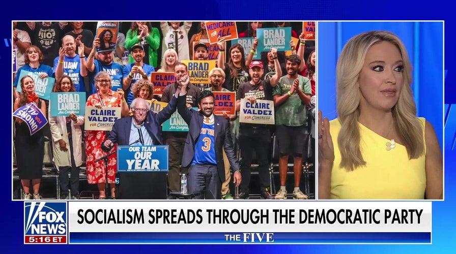 Democratic Socialists of America are ‘organized and planning’: Kayleigh McEnany