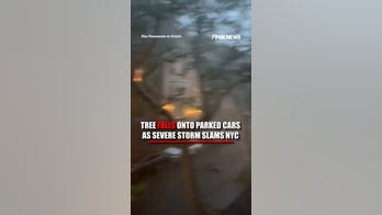 Trees fall onto parked cars as storm SLAMS NYC
