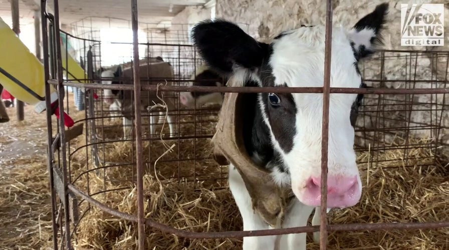 WATCH NOW: Wisconsin farmer discusses impact of rising fertilizer and gas costs