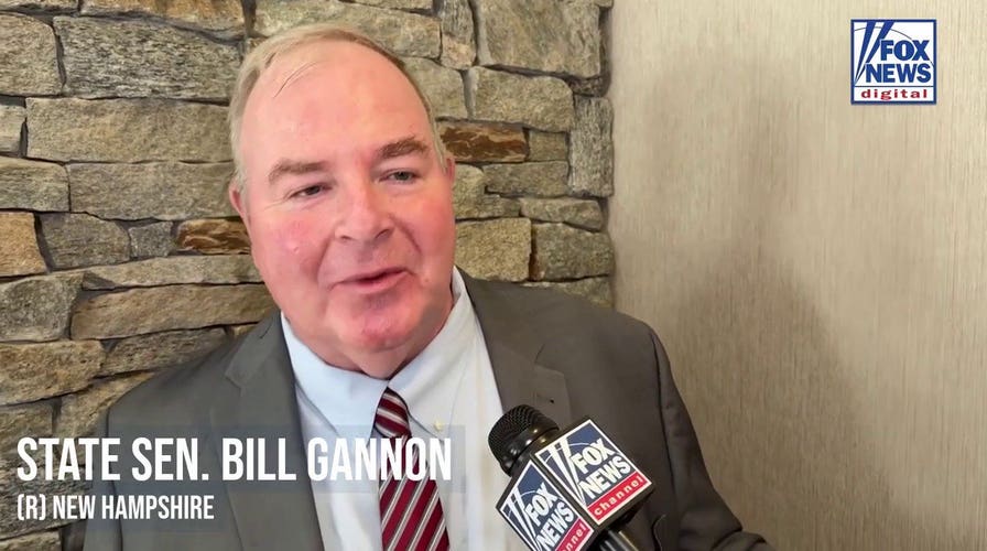 NH Republican warns AI could pose threat to humanity, calls for national regulation