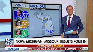 Michigan Senate primary could reshape Democratic Party
