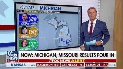 Michigan Senate primary could reshape Democratic Party