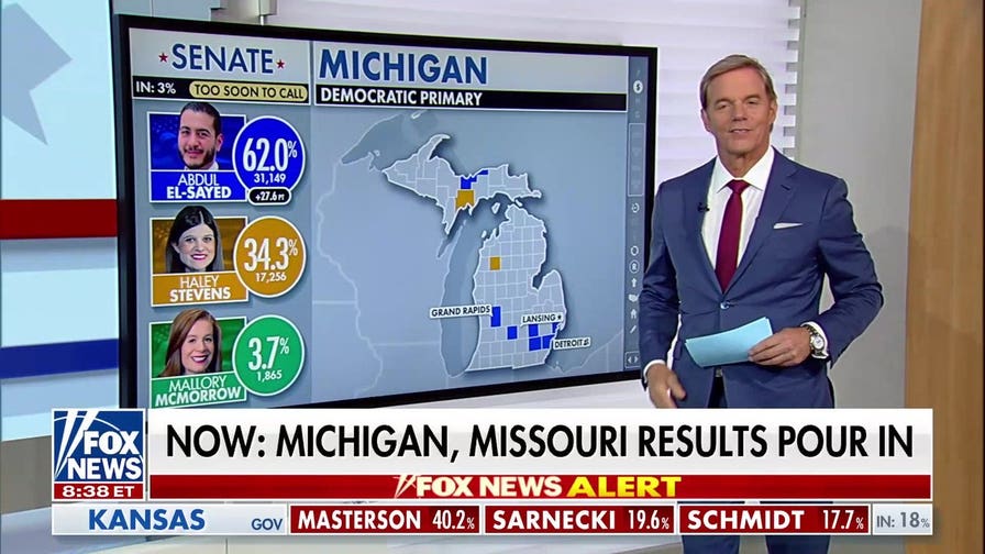 Michigan Senate primary could reshape Democratic Party