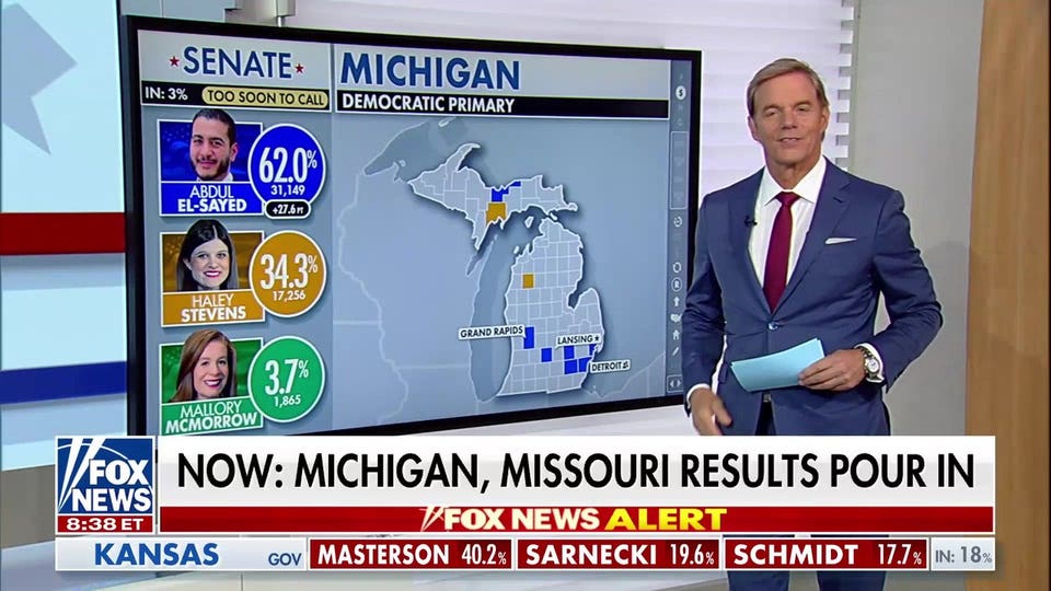 Michigan Senate primary could reshape Democratic Party
