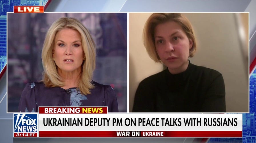 Ukraine focused on 'gaining security guarantees': Ukrainian deputy prime minister