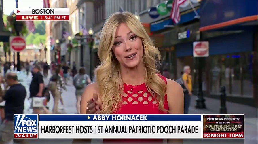 Boston Harborfest holds first patriotic pooch parade