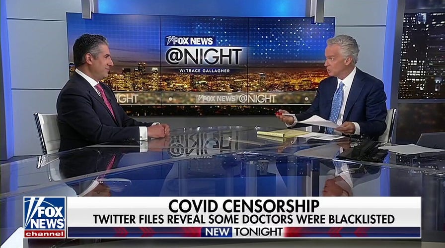 Dr. Houman Hemmati: Twitter shut down people who questioned the narrative it supported