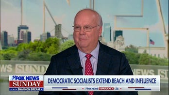 Analyzing the influence of Democratic socialism in US politics
