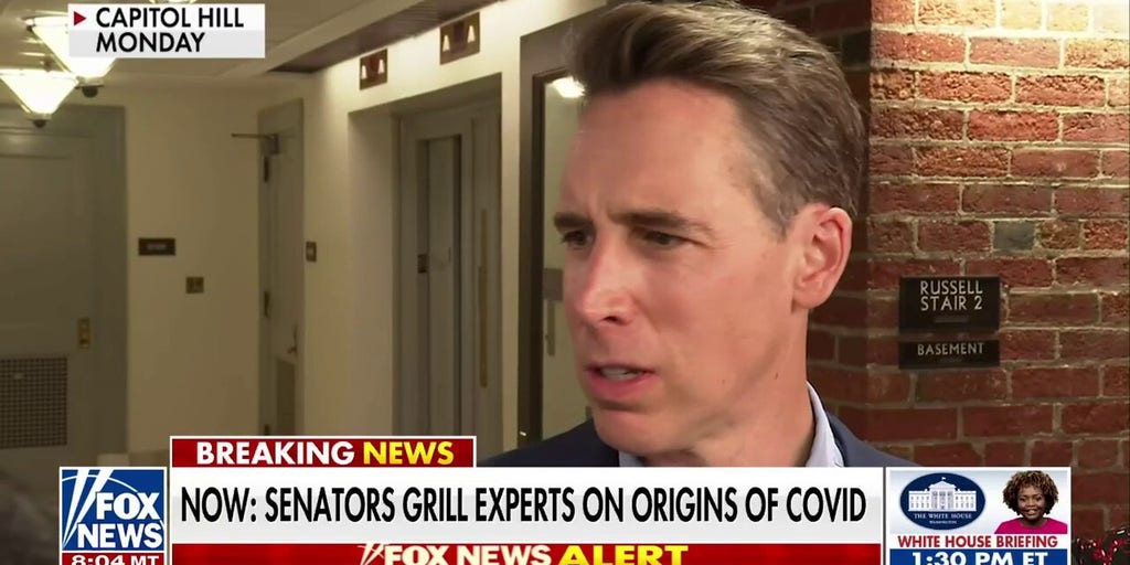 Debate Over COVID-19 Origin Sparks Senate Hearing with Fauci, Ebright, and Paul