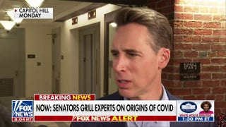 Senate investigates Wuhan lab leak theory in search for the COVID origin - Fox News
