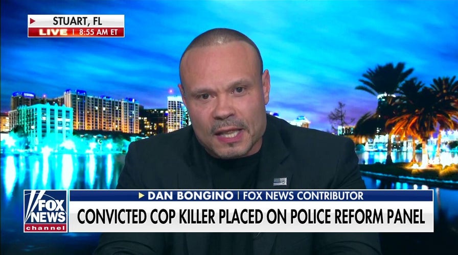 Bongino: How does looting, destroying businesses help bring justice? 