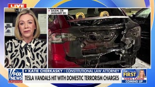 DOJ charges Tesla vandals with domestic terrorism