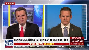 Trump began to fear his own base: Kinzinger