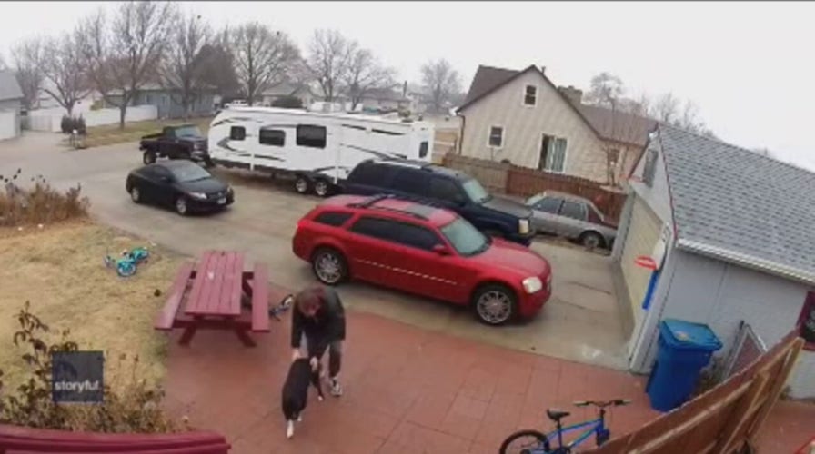 Nebraska pit bull helps owner walk across icy path