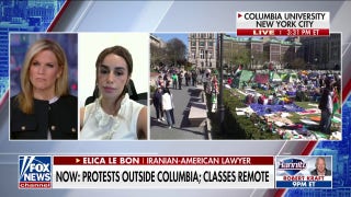 Iranian-American who spoke out against Iranian regime reacts to anti-Israel demonstrations - Fox News