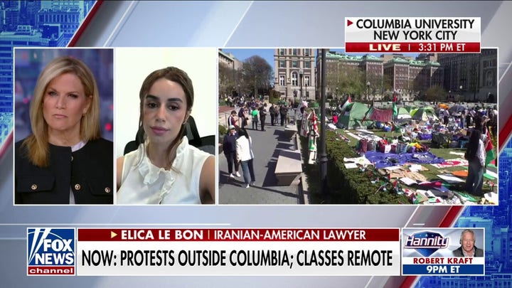 Iranian-American who spoke out against Iranian regime reacts to anti-Israel demonstrations