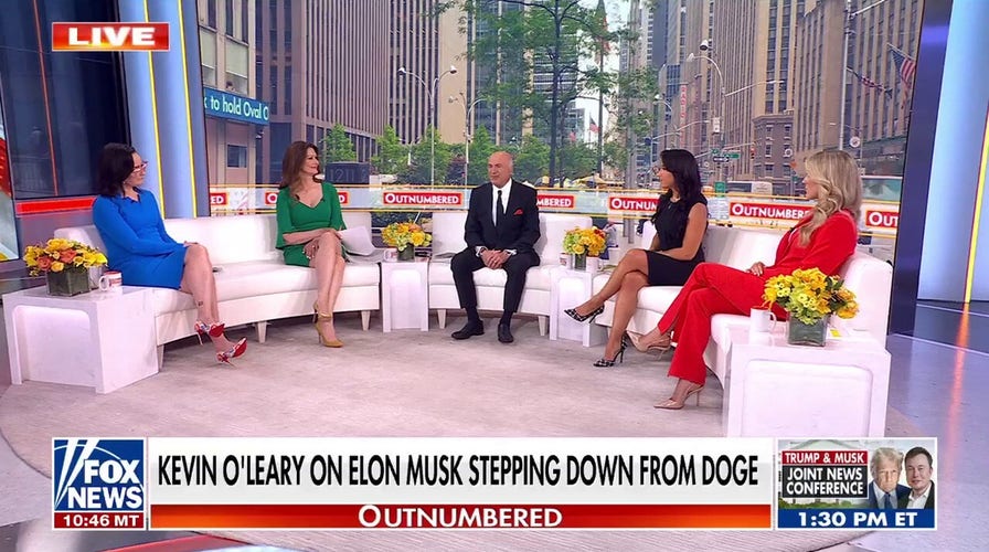 Elon Musk is a ‘modern-day da Vinci’, Kevin O’Leary argues