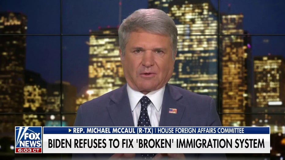 Rep. McCaul calls out the Democrats, says they 'own' the border crisis and 'it didn't have to happen'