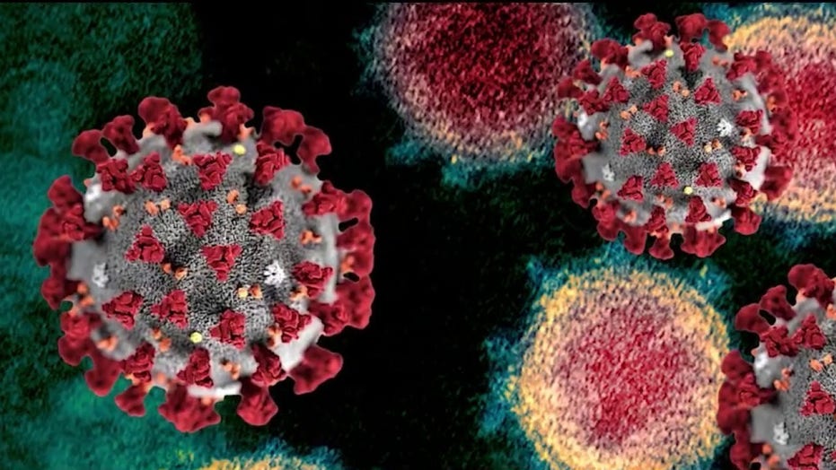 Thousands of nurses head to Florida hot zone amid coronavirus pandemic