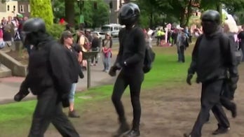 Former Antifa member bashes radical group as fighting for nothing but 'failed leftist socialist ideology'