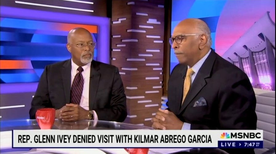 Former RNC chair says deporting illegal immigrant just like Middle East insurgents kidnapping Americans