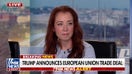 EU trade deal a 'homerun' for Trump and American people, Republican strategist says