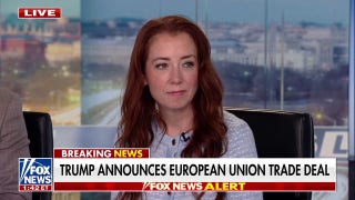 EU trade deal a 'homerun' for Trump and American people, Republican strategist says