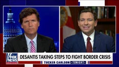 DeSantis won't stand for illegal immigrants 'displacing the needs of' Floridians