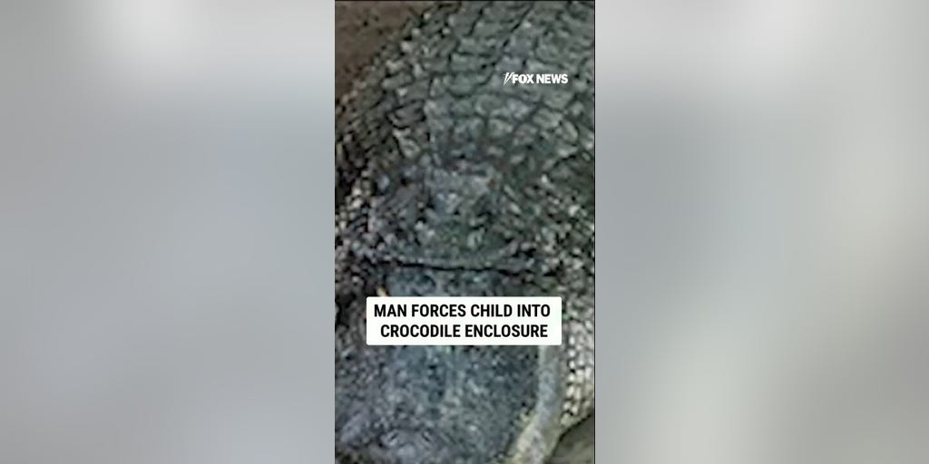 Man FORCES child into crocodile enclosure