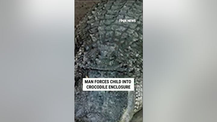 Man FORCES child into crocodile enclosure
