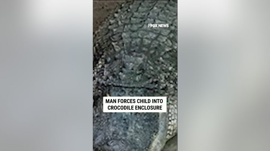 Man FORCES child into crocodile enclosure