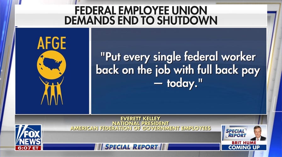 Largest federal workers union puts pressure on Democrats to reopen the government