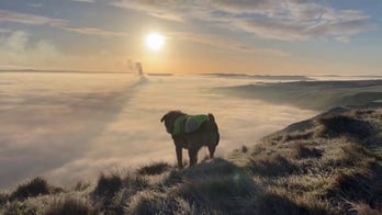 Pup and owner enjoy sunrise over Mam Tor during cloud inversion