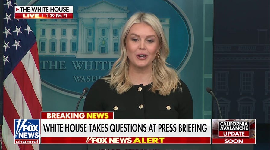 Leavitt after reporter asks for examples of Trump being called ‘racist’: ‘You’re kidding me, right?’