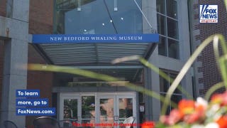 Museum turns mistaken 'worst aquarium ever' review into viral merch sensation
