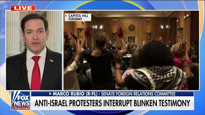Sen. Rubio reacts to anti-Israel protests during Blinken's testimony: Hamas thinks they have the upper hand