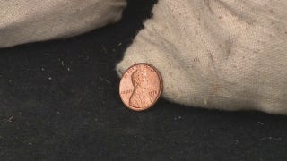 California family discovers 1 million copper pennies in old home - Fox News