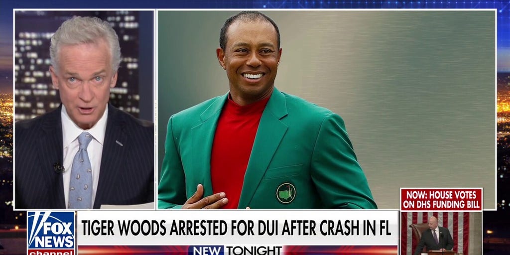 Tiger Woods' mugshot released after golf legend crawls from overturned car, report says