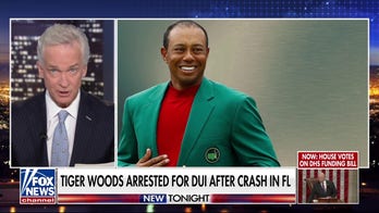 Tiger Woods' mugshot released after golf legend crawls from overturned car, report says