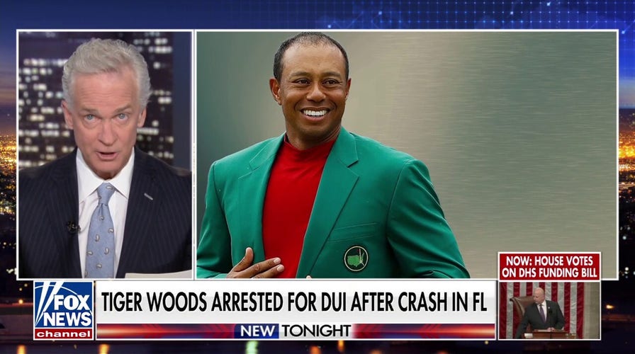 Tiger Woods' mugshot released after golf legend crawls from overturned car, report says